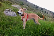 98 Bella la mia prima escursione in quota !!!